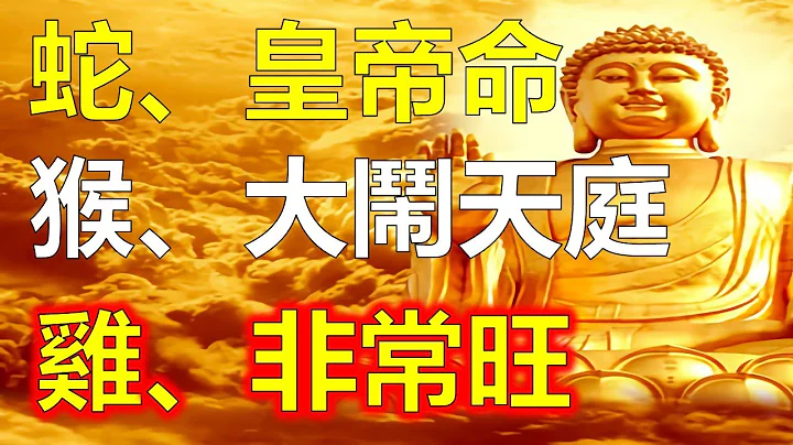 2024年生肖屬蛇人是皇帝命，屬雞人的是十二屬相中最發財的，2024年生肖屬猴人大鬧天庭，2024十二生肖屬猴人整體運勢，生肖蛇的運勢不錯，生肖雞賺錢容易，十二生肖運勢運程大分析。往期視頻直播 - 天天要聞