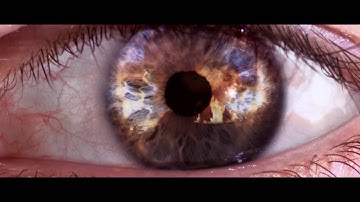 Motorola Solutions  Because When Nothing Happens, Everything Else Can