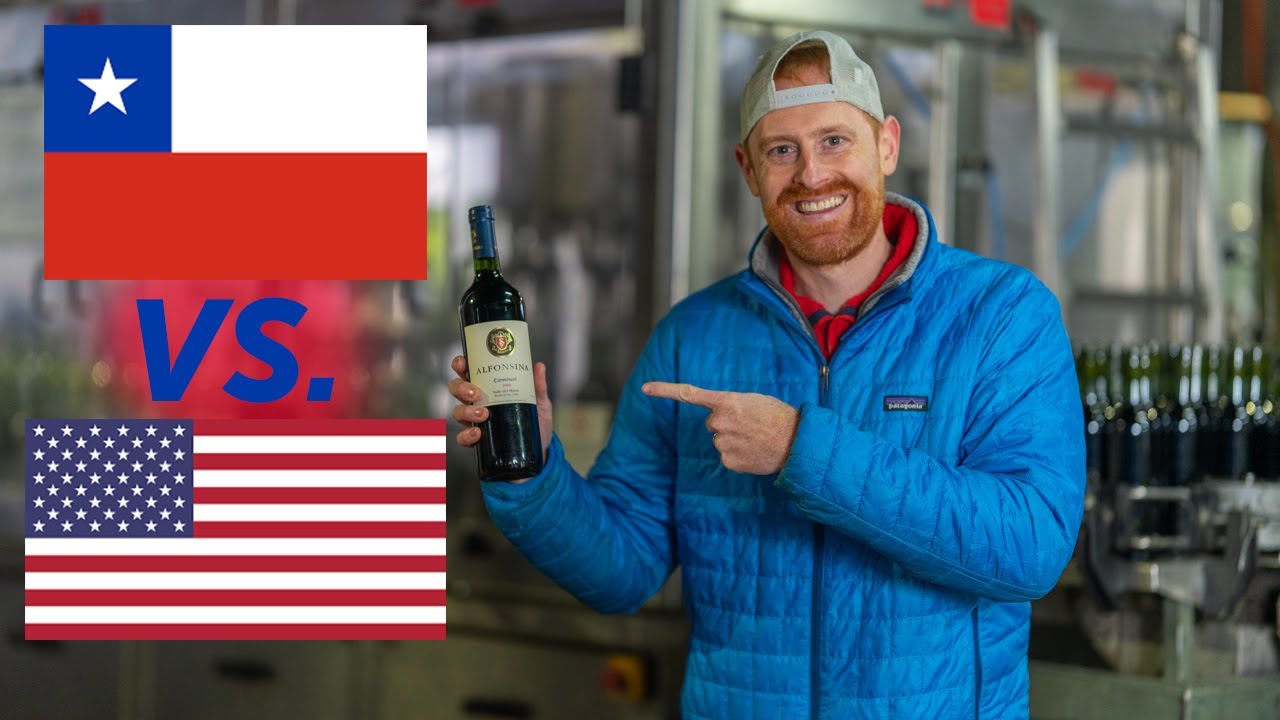 I went to a winery. | The process of making Chilean wine