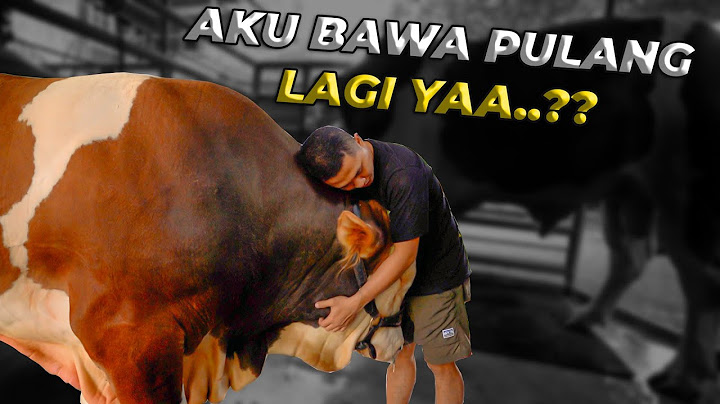 ASAL-USUL JANOKO YANG BARU DIUNGKAP OLEH MAS HERMAWAN..!