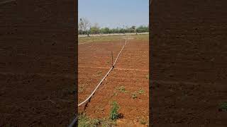 Netafim flexi springler Irrigation system