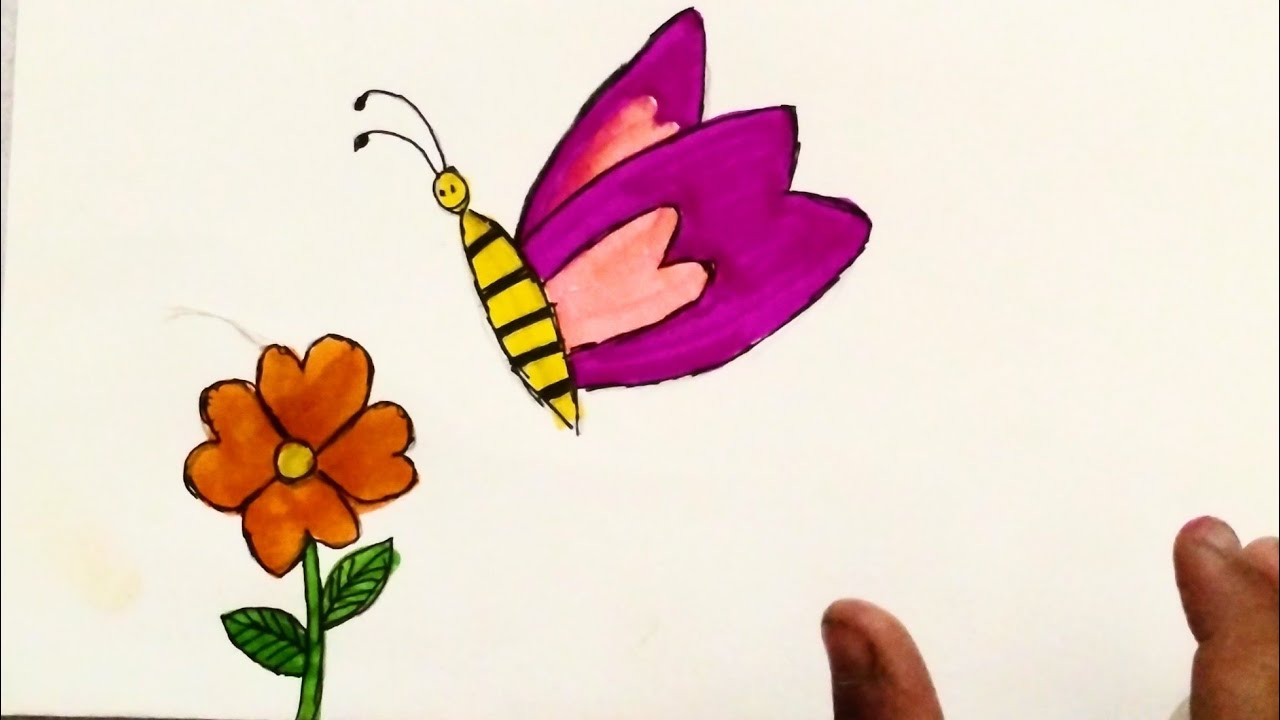 Butterfly Drawing, Flower Drawing 