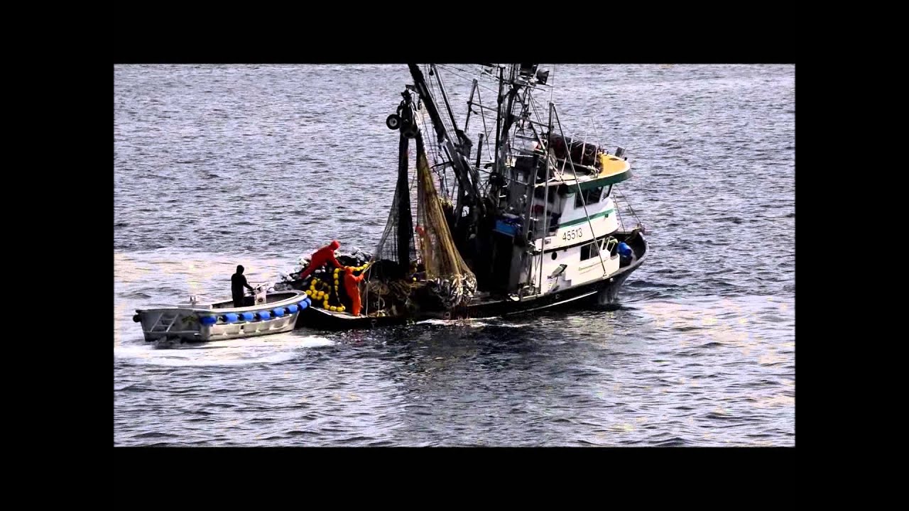Salmon Seiner Chenega Bay - YouTube