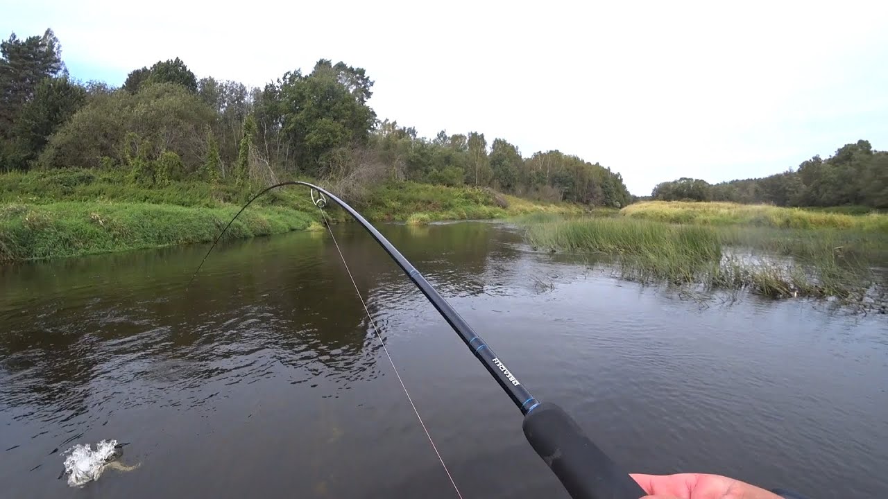 PIG SHAD JR. Первый выезд по щуке 2021!