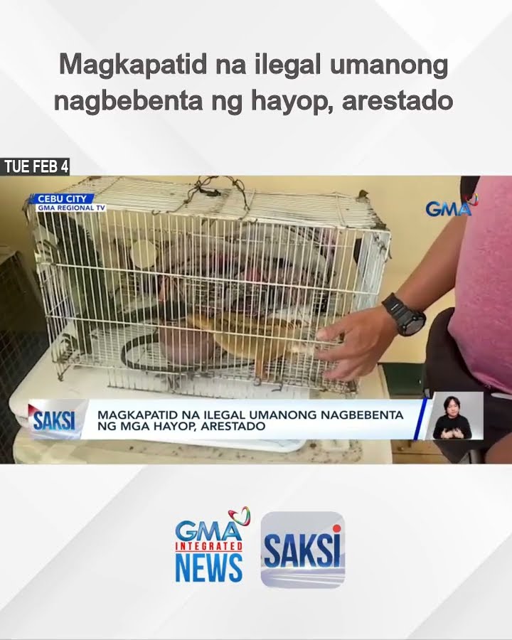 Magkapatid na ilegal umanong nagbebenta ng hayop, arestado | Saksi