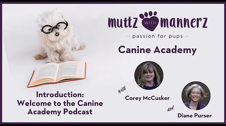 Welcome to the Muttz with Mannerz Canine Academy P...