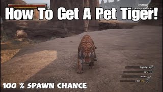How To Tame And Get A Pet Tiger | Conan Exiles