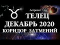 ТЕЛЕЦ - ДЕКАБРЬ 2020 - КОРИДОР ЗАТМЕНИЙ. Астролог Olga