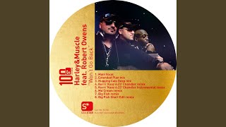 Won't Go Back (feat. Robert Owens) (Big Fish Short Edit Remix)
