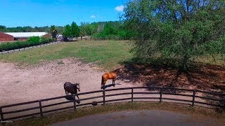 180 and 186 Se 59th St   Ocala FL 34480
