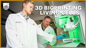 Can you 3D print organs?