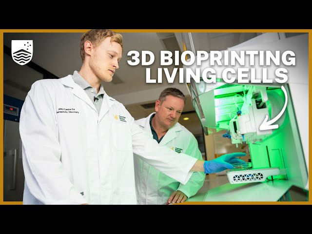 Can you 3D print organs? - YouTube
