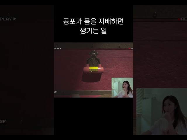 경계 태세 발동 l 꽉수빈