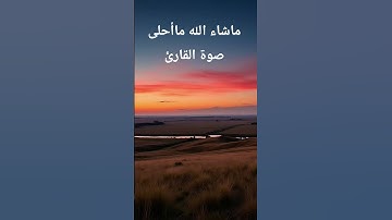 القارئ فضيلة الشيخ بدر التركي