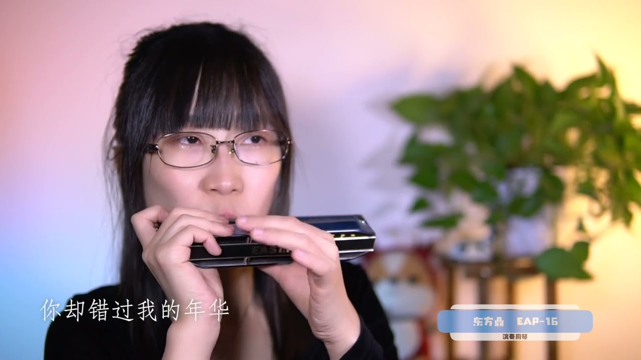 EAST TOP EAP-16 Professional Chromatic Harmonica Performance