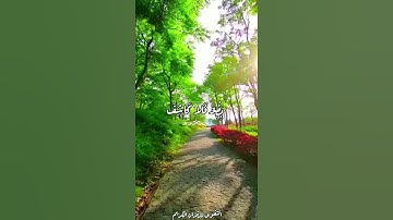 سورة الانعام(وَإِنْ يَمْسَسْكَ اللَّهُ بِضُرٍّ فَلَا كَاشِفَ لَهُ إِلَّا هُوَ