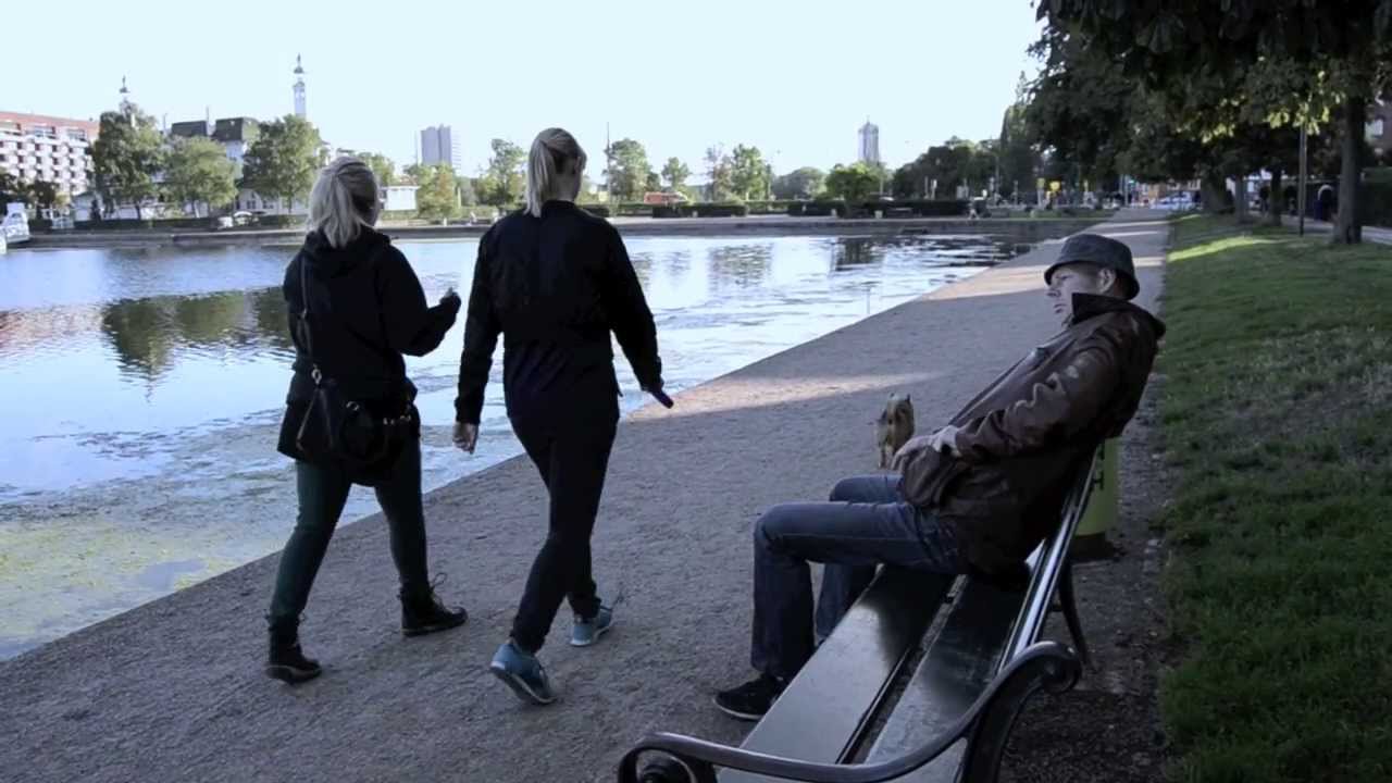 Windflower - Mr. Ronson