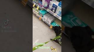 ESA Dog at Walgreens!!