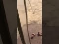 لحد يجي اقعدوا في بيوتكم