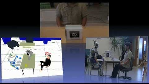 Perspective taking in human-robot interaction