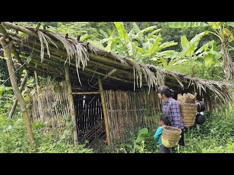 Abandoned House in the Forest: An Emotional Discovery of a Single Mother