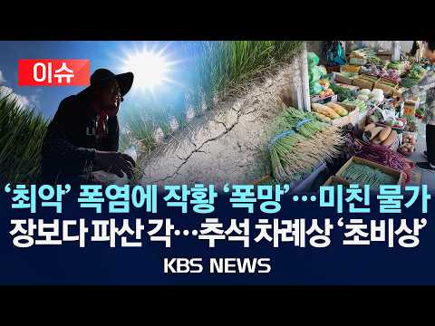 [🔴이슈] '최악' 폭염에 작황 '폭망'…미친 물가/장보다 파산 각…추석 차례상 '초비상'/2026년 8월 12일(수)/KBS
