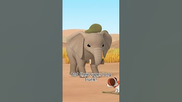 LARGEST LAND ANIMAL ON EARTH?! 🐘 | Leo the Wildlife Ranger | #shorts #animalfacts #animals