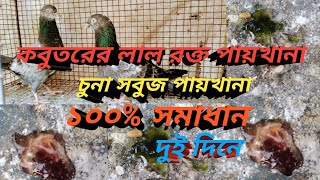 কবুতরের চুনা সবুজ ও লাল রক্ত পায়খানা , kobutor sobuj Lal rokto paykhana , পায়রা লাল সবুজ পায়খানা।