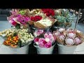 Amezing flowers items