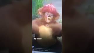 Kidsongs Baseball Baby Rock Rowing