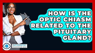 How Is The Optic Chiasm Related To The Pituitary Gland? - Optometry Knowledge Base