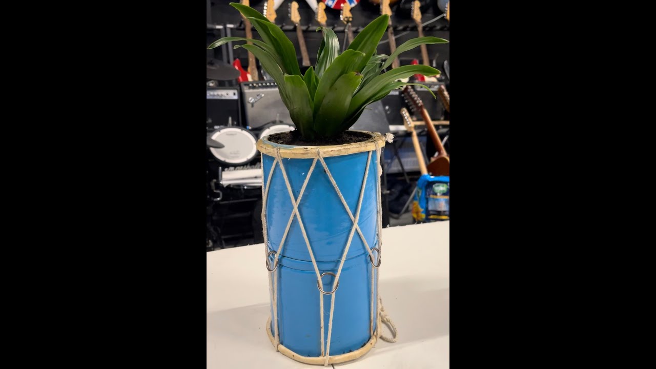 turning a broken hand drum/percussion instrument into a plant pot for a house plant. Recycle!
