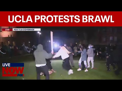 Watch: Brawl Breaks Out At Ucla Gaza War Protest | Livenow From Fox