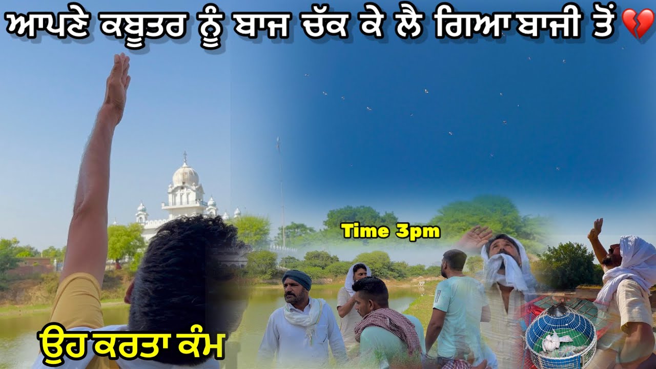 ਆਪਣੇ ਕਬੂਤਰ ਨੂੰ ਬਾਜੀ ਤੋਂ ਬਾਜ ਚੱਕ ਕੇ ਲੈ ਗਿਆ 😢|| Baaz Kabutar Nu Bazi Ton Chak K Lai Gya💔|| #pigeon