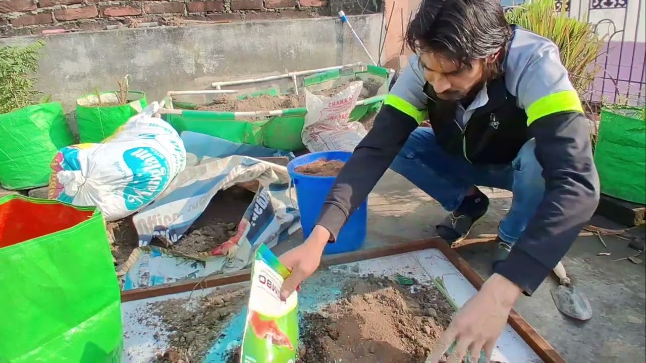 4 Day Garden Makeover! 🌸 मिट्टी बदली और लगाए नए फूल | Mini Vlog 🌿