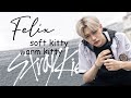 Stray Kids guide: Felix edition