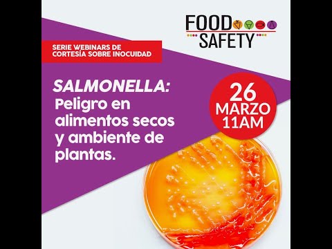 Video: Los Productos Químicos En La Fabricación De Alimentos Pueden Enmascarar El Riesgo De Salmonela