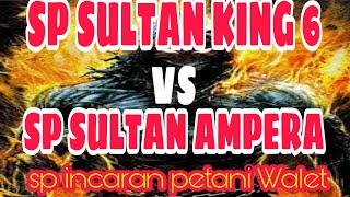SP SULTAN KING 6 VS SP SULTAN AMPERA||SUARA PANGGIL RESPON||SUARA VIRAL