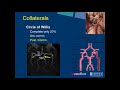 SIR-RFS Webinar (2/27/2018): Neuro Interventional Radiology: Carotid Artery Stenting