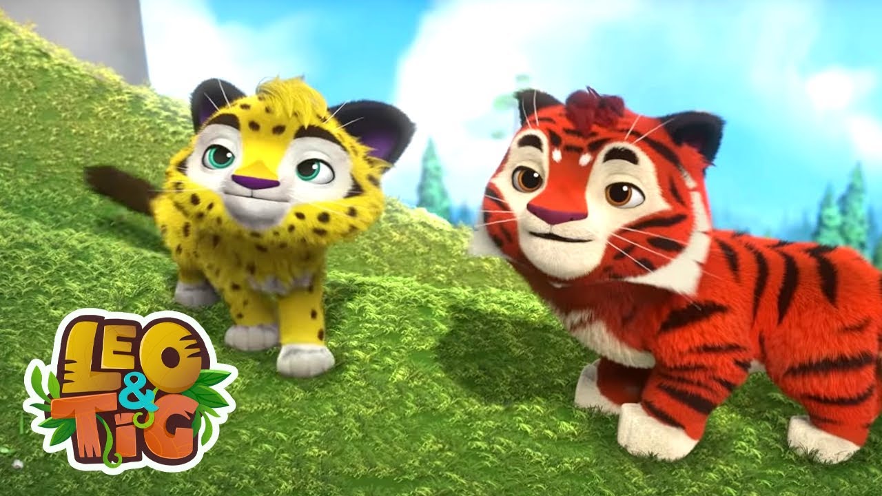 Patrulha da Floresta  - Leo & Tig - | Desenhos infantil 🐯🦁