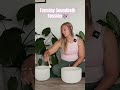 Can’t sleep? Try this tonight 💤 Full Sound Bath on YT. #soundbowl #soundbath #sleepmeditation