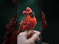 #ViralRed colour Bird sweet sound