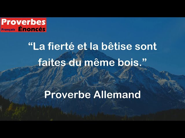 La fierté et la bêtise sont faites du même bois. - Proverbe Allemand 