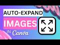 How to Expand Images in Canva (Magic Expand)
