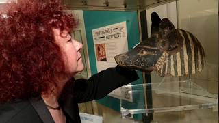 Ancient Egypt In Yorkshire: Gods' Land In God's County with Prof Joann Fletcher