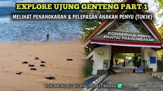 Pangumbahan Turtle Conservation Tour | Ujung Genteng Beach