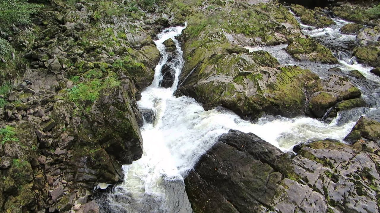 Jumping salmon in Scotland. (40 secs and 1 min 50 seconds in!) YouTube