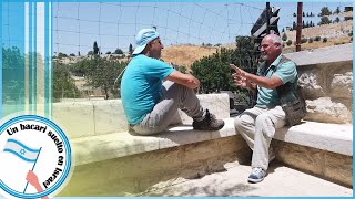 Getsemaní: La prensa de aceite ... Jesús es 'prensado'
