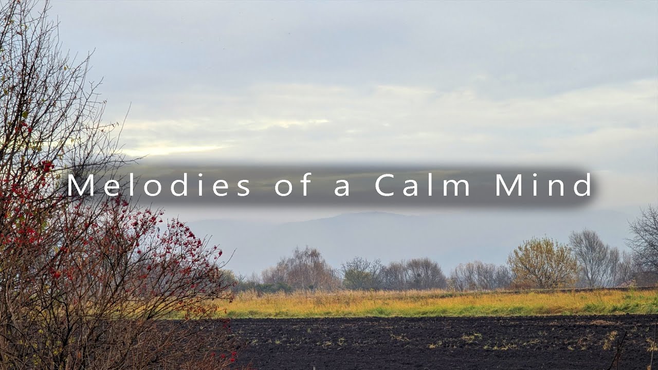 This MUSIC HACKS Your BRAIN 🧠💥 | Focus 100x Faster & Get Things DONE