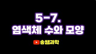 screenshot of the youtube video